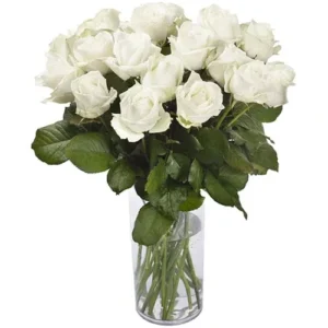 fleuriste casablanca, livraison fleurs casablanca, bouquet de fleurs casablanca, Fleuriste Casablanca Maarif, Fleuriste Casablanca pas cher, Fleuriste Casablanca 2 Mars, Bouquet de fleur Casablanca prix, Classy – 18 Roses Blanches
